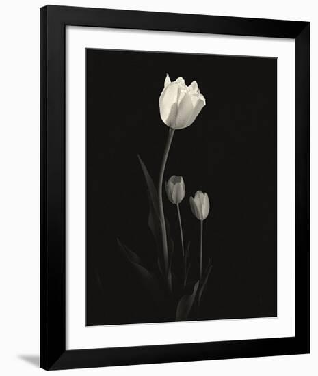 Still Life, Study, no. 6-Andrew Ren-Framed Giclee Print