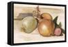 Still-Life - Study of Onions, 1871-75 (W/C with White Bodycolour on Paper)-Edward Coley Burne-Jones-Framed Stretched Canvas