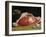 Still Life, the Joint of Meat, 1864-Claude Monet-Framed Giclee Print