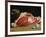 Still Life, the Joint of Meat, 1864-Claude Monet-Framed Giclee Print