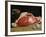 Still Life, the Joint of Meat, 1864-Claude Monet-Framed Giclee Print