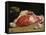 Still Life, the Joint of Meat, 1864-Claude Monet-Framed Stretched Canvas