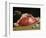 Still Life, the Joint of Meat, 1864-Claude Monet-Framed Giclee Print