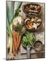 Still Life: Vegetables, Pulses, Mushrooms and Nuts-Eising Studio - Food Photo and Video-Mounted Photographic Print