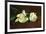 Still Life, White Peony-Edouard Manet-Framed Premium Giclee Print