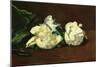 Still Life, White Peony-Edouard Manet-Mounted Art Print