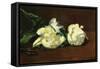 Still Life, White Peony-Edouard Manet-Framed Stretched Canvas