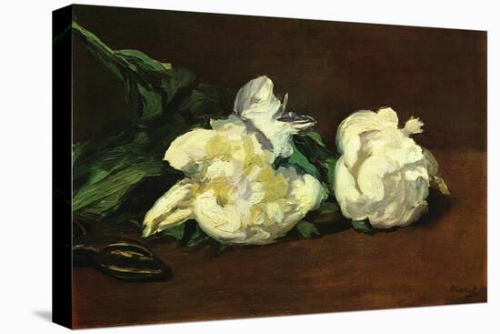 Still Life, White Peony-Edouard Manet-Stretched Canvas