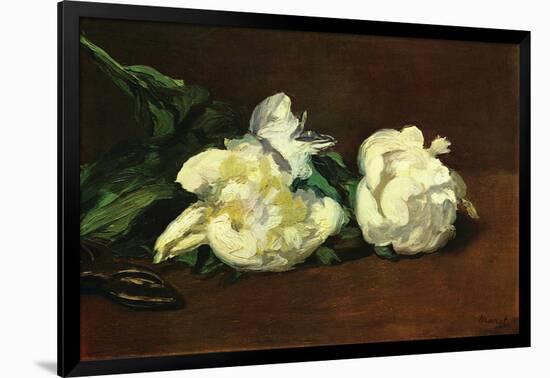 Still Life, White Peony-Edouard Manet-Framed Art Print