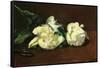 Still Life, White Peony-Edouard Manet-Framed Stretched Canvas