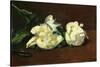 Still Life, White Peony-Edouard Manet-Stretched Canvas