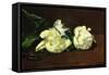 Still Life, White Peony-Edouard Manet-Framed Stretched Canvas