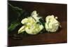 Still Life, White Peony-Edouard Manet-Mounted Premium Giclee Print