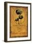 Still Life Wine Label I-Mary Beth Baker-Framed Art Print