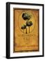 Still Life Wine Label I-Mary Beth Baker-Framed Art Print