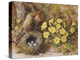 Still Life with a Bird's Nest and Primroses on a Mossy Bank-Wiliam B. Hough-Stretched Canvas