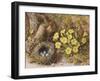 Still Life with a Bird's Nest and Primroses on a Mossy Bank-Wiliam B. Hough-Framed Giclee Print