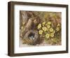 Still Life with a Bird's Nest and Primroses on a Mossy Bank-Wiliam B. Hough-Framed Giclee Print