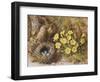 Still Life with a Bird's Nest and Primroses on a Mossy Bank-Wiliam B. Hough-Framed Giclee Print