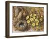 Still Life with a Bird's Nest and Primroses on a Mossy Bank-Wiliam B. Hough-Framed Giclee Print