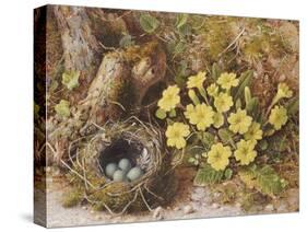 Still Life with a Bird's Nest and Primroses on a Mossy Bank-Wiliam B. Hough-Stretched Canvas