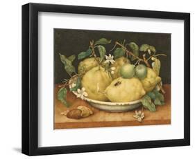 Still Life with a Bowl of Citrons, C.1640-Giovanna Garzoni-Framed Premium Giclee Print