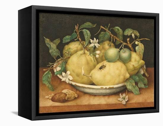 Still Life with a Bowl of Citrons, C.1640-Giovanna Garzoni-Framed Stretched Canvas