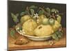 Still Life with a Bowl of Citrons, C.1640-Giovanna Garzoni-Mounted Premium Giclee Print