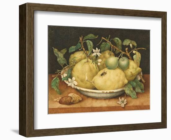 Still Life with a Bowl of Citrons, C.1640-Giovanna Garzoni-Framed Giclee Print