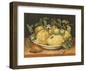 Still Life with a Bowl of Citrons, C.1640-Giovanna Garzoni-Framed Giclee Print