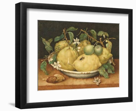 Still Life with a Bowl of Citrons, C.1640-Giovanna Garzoni-Framed Giclee Print