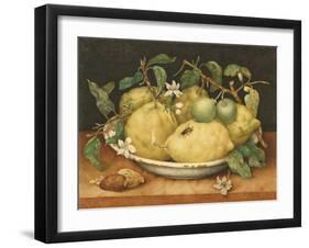 Still Life with a Bowl of Citrons, C.1640-Giovanna Garzoni-Framed Giclee Print