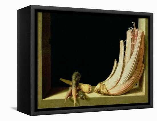 Still Life with a Cardoon-Juan Sanchez Cotan-Framed Stretched Canvas