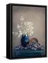 Still life with a lunaria and snails-Dimitar Lazarov --Framed Stretched Canvas