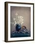 Still life with a lunaria and snails-Dimitar Lazarov --Framed Photographic Print