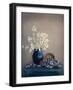 Still life with a lunaria and snails-Dimitar Lazarov --Framed Photographic Print