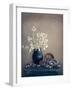 Still life with a lunaria and snails-Dimitar Lazarov --Framed Photographic Print