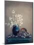 Still life with a lunaria and snails-Dimitar Lazarov --Mounted Photographic Print