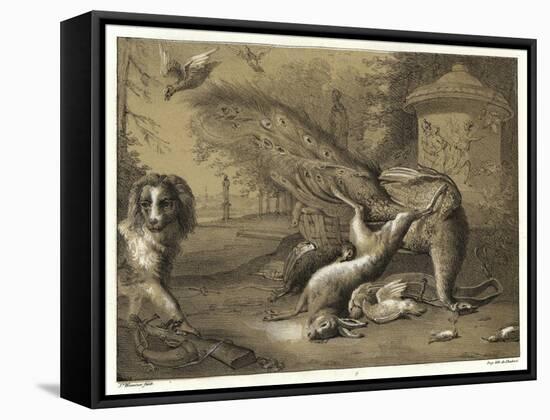 Still Life with a Peacock and a Dog-Jan Weenix-Framed Stretched Canvas