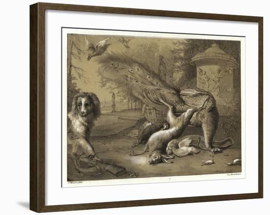 Still Life with a Peacock and a Dog-Jan Weenix-Framed Giclee Print