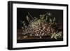Still Life with a Plate of Grapes, 1771-Luis Egidio Melendez-Framed Giclee Print