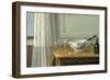 Still Life with a Punch Bowl-Nils Schillmark-Framed Giclee Print