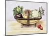 Still Life with a Trug of Vegetables, 1996-Alison Cooper-Mounted Giclee Print