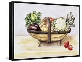 Still Life with a Trug of Vegetables, 1996-Alison Cooper-Framed Stretched Canvas