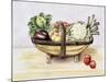 Still Life with a Trug of Vegetables, 1996-Alison Cooper-Mounted Giclee Print