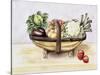 Still Life with a Trug of Vegetables, 1996-Alison Cooper-Stretched Canvas