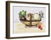 Still Life with a Trug of Vegetables, 1996-Alison Cooper-Framed Giclee Print