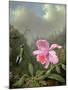 Still Life with an Orchid and a Pair of Hummingbirds, C.1890S-Martin Johnson Heade-Mounted Giclee Print