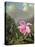 Still Life with an Orchid and a Pair of Hummingbirds, C.1890S-Martin Johnson Heade-Stretched Canvas