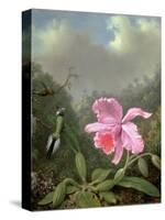 Still Life with an Orchid and a Pair of Hummingbirds, C.1890S-Martin Johnson Heade-Stretched Canvas